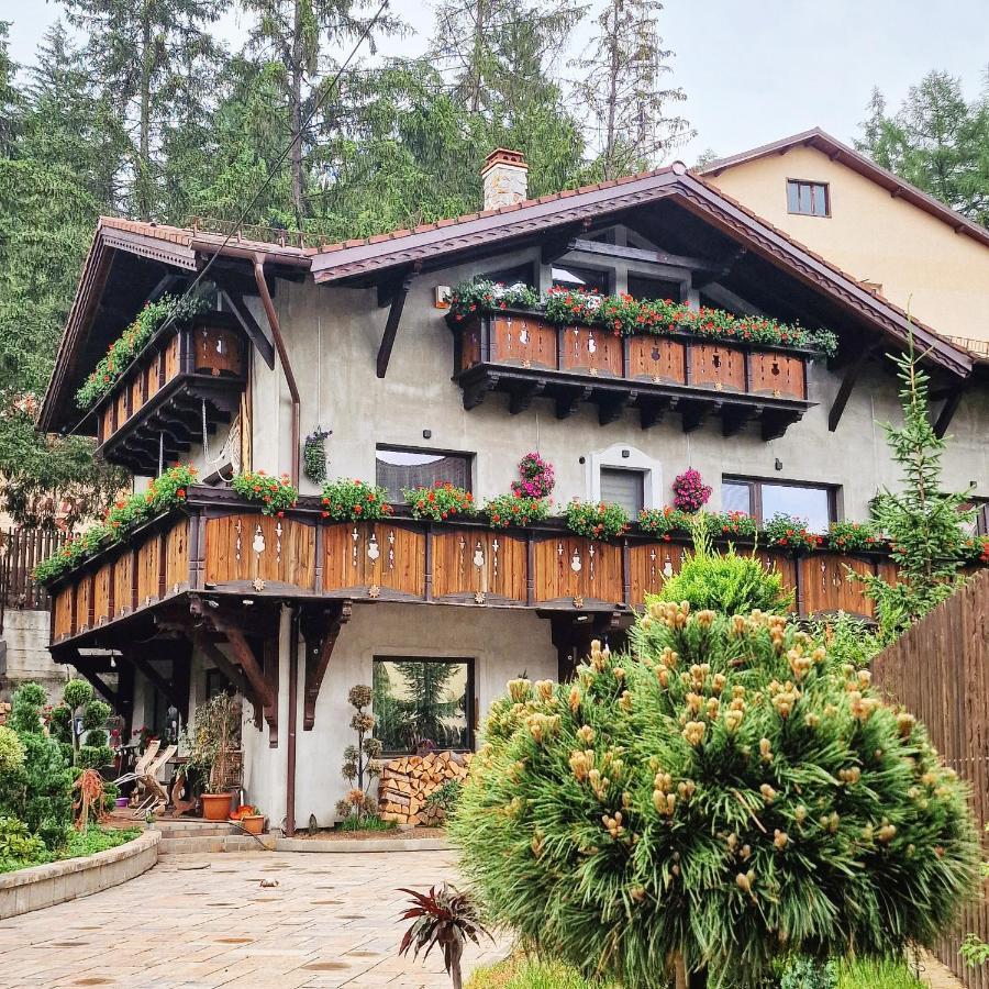 Amor Tirol Bușteni Exterior foto