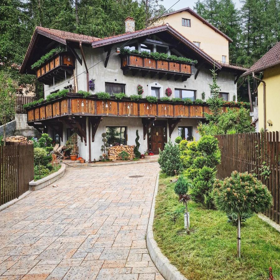 Amor Tirol Bușteni Exterior foto