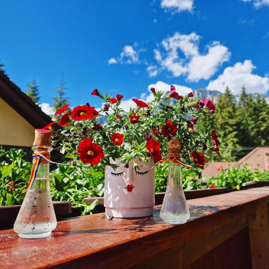 Amor Tirol Bușteni Exterior foto