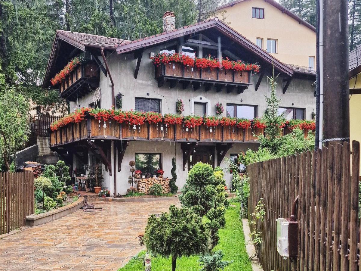 Amor Tirol Bușteni Exterior foto