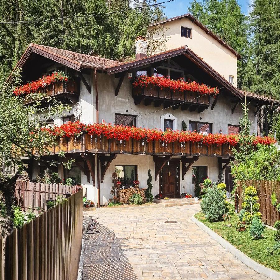 Amor Tirol Bușteni Exterior foto