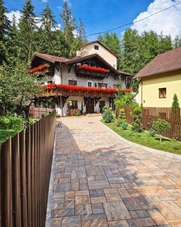 Amor Tirol Bușteni Exterior foto