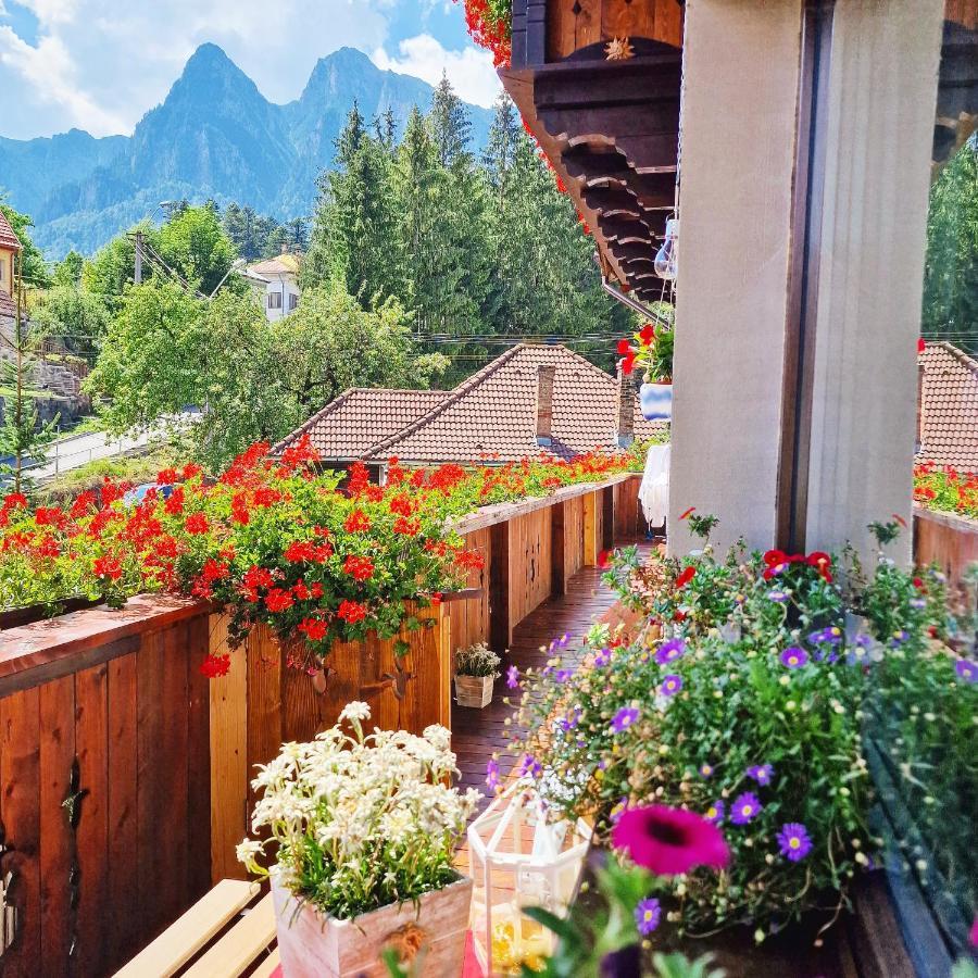 Amor Tirol Bușteni Exterior foto