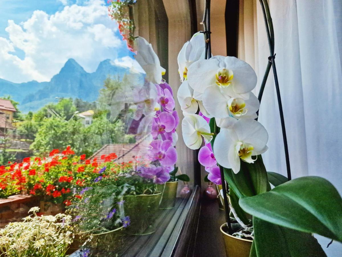 Amor Tirol Bușteni Exterior foto