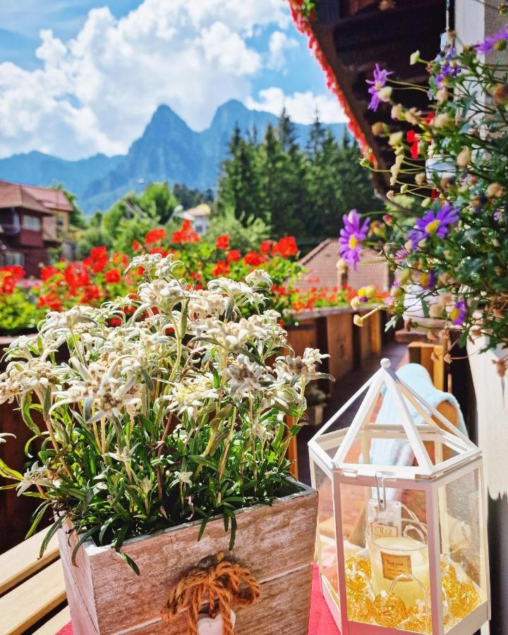 Amor Tirol Bușteni Exterior foto