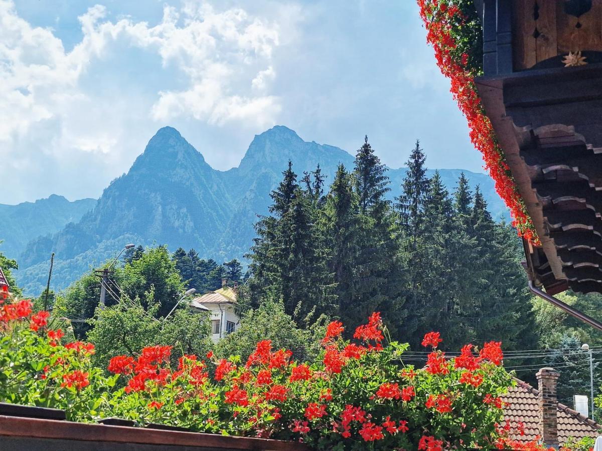 Amor Tirol Bușteni Exterior foto