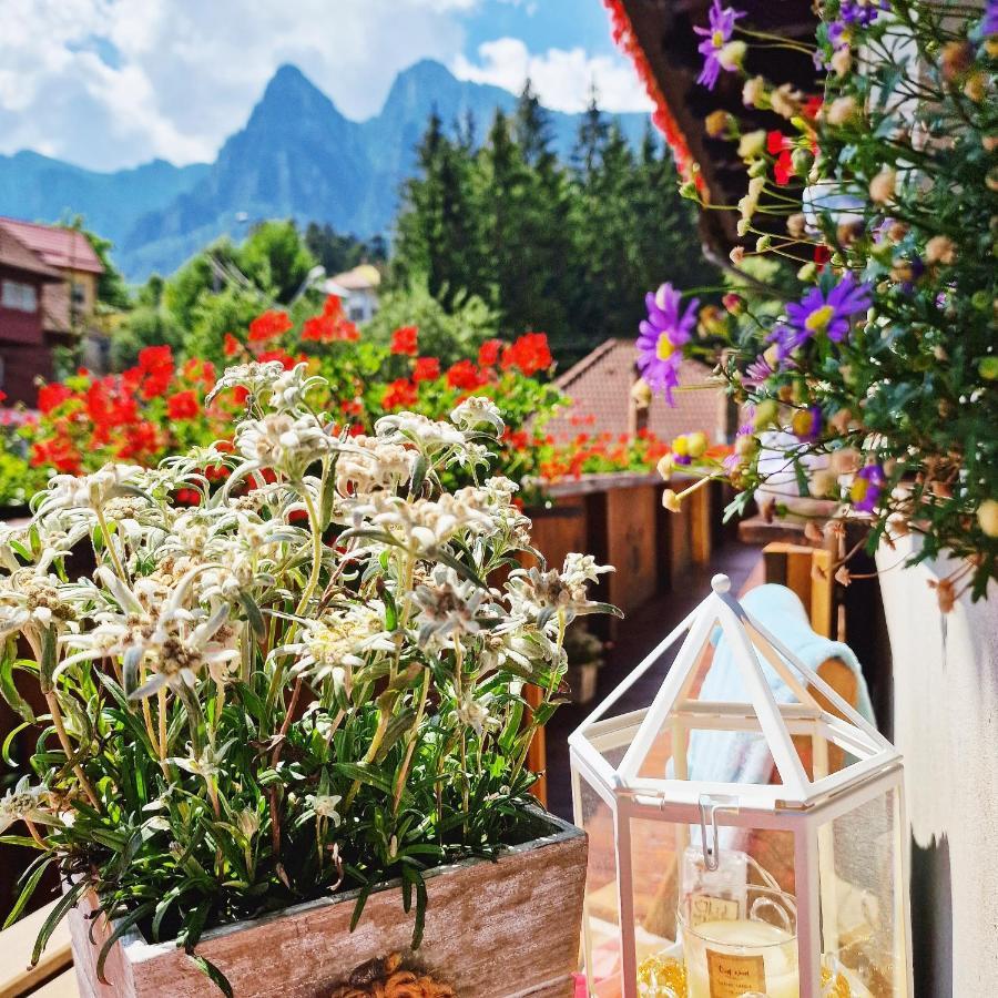 Amor Tirol Bușteni Exterior foto