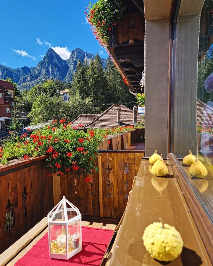 Amor Tirol Bușteni Exterior foto