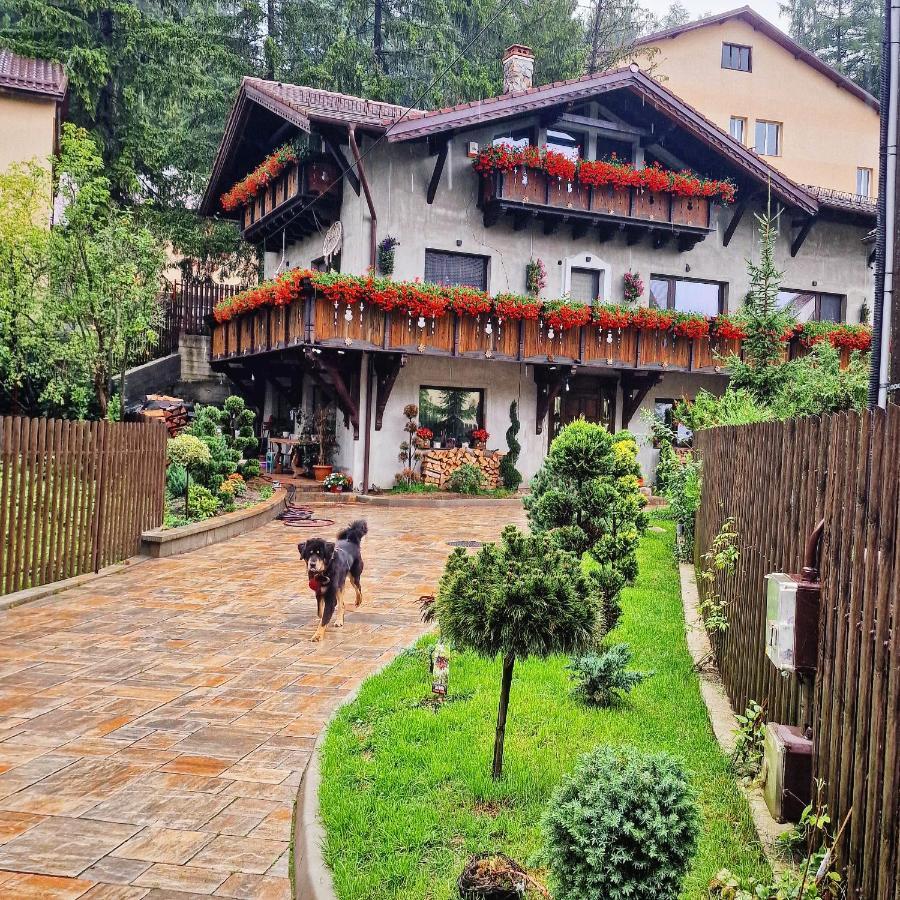 Amor Tirol Bușteni Exterior foto