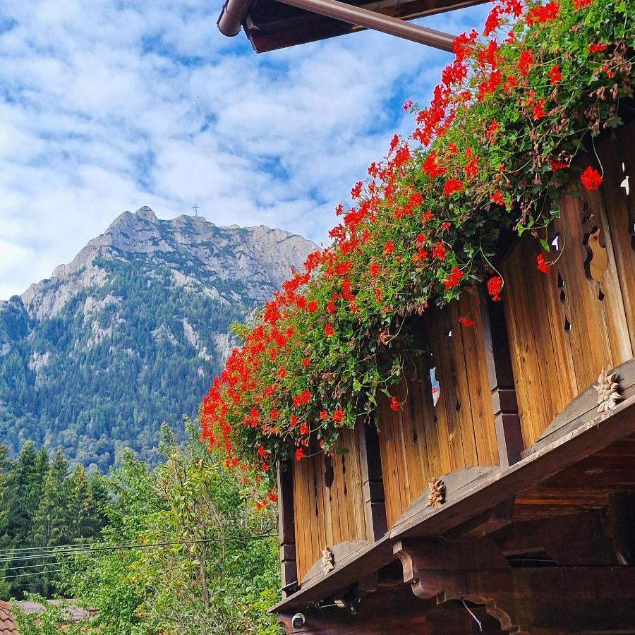 Amor Tirol Bușteni Exterior foto
