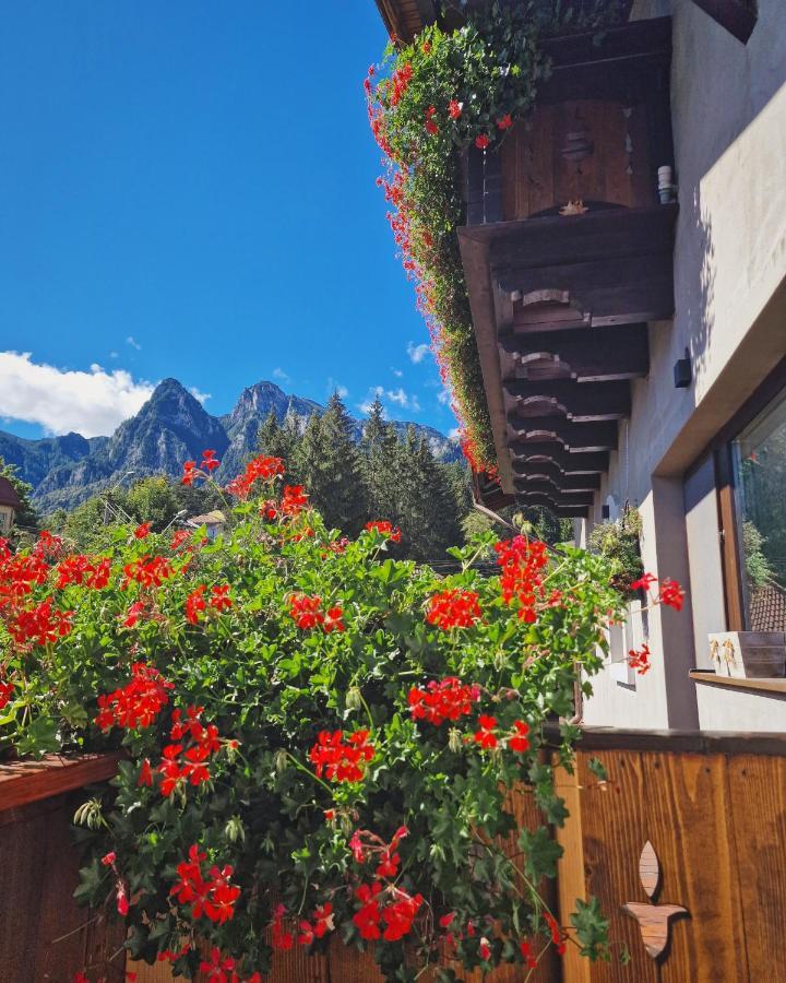 Amor Tirol Bușteni Exterior foto