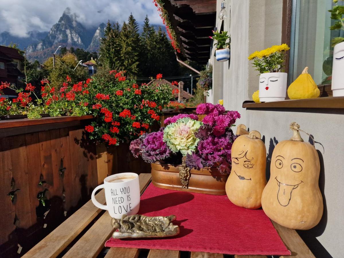 Amor Tirol Bușteni Exterior foto