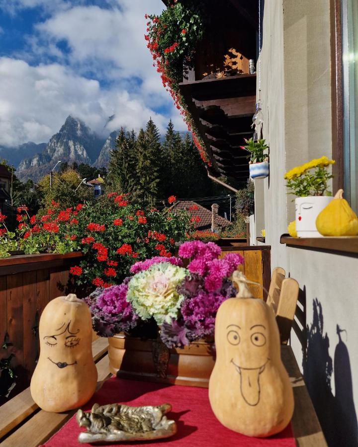 Amor Tirol Bușteni Exterior foto